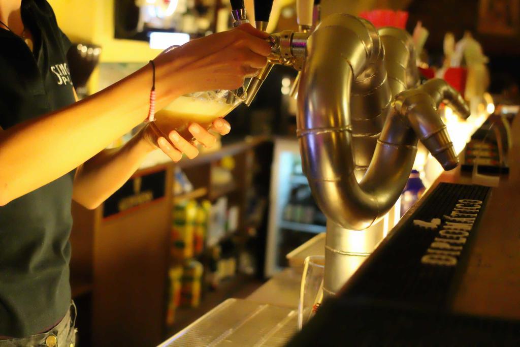 Hostel Singer Pub Ческе-Будеёвице Экстерьер фото